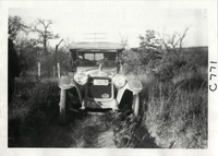 na028175--thumbnail.jpg