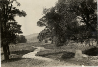 na008797--thumbnail.jpg