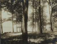 na008801--thumbnail.jpg