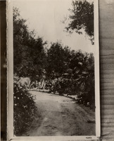 na008804--thumbnail.jpg