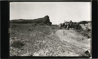 na031729--thumbnail.jpg