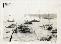 na004942--thumbnail.jpg