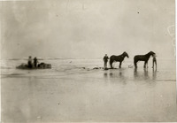 na015127--thumbnail.jpg