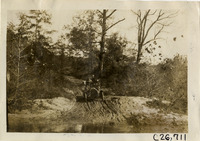 na029667--thumbnail.jpg