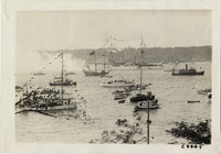 na004956--thumbnail.jpg