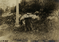 na022550--thumbnail.jpg