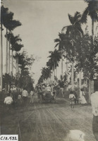 na012051--thumbnail.jpg