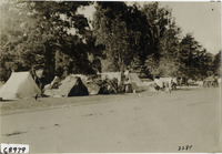 na006644--thumbnail.jpg