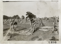 na006096--thumbnail.jpg