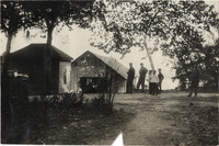 na013029--thumbnail.jpg