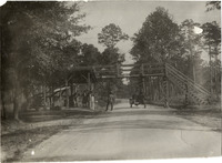 na013030--thumbnail.jpg