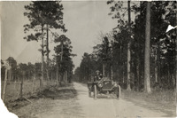 na013031--thumbnail.jpg