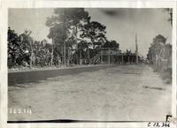 na013571--thumbnail.jpg