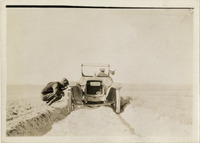 na028229--thumbnail.jpg