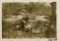 na029692--thumbnail.jpg