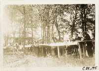 na027171--thumbnail.jpg