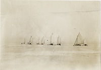na004982--thumbnail.jpg