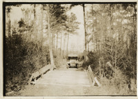na028235--thumbnail.jpg