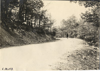 na008331--thumbnail.jpg