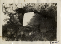 na029706--thumbnail.jpg