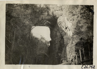 na029707--thumbnail.jpg
