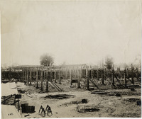 na005554--thumbnail.jpg