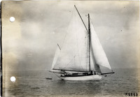 na050877--thumbnail.jpg