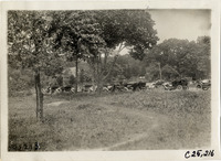 na027193--thumbnail.jpg