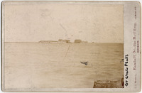 DPA0637--thumbnail.jpg
