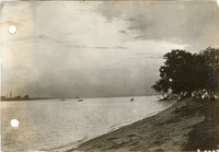 na050883--thumbnail.jpg