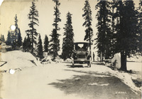 na008344--thumbnail.jpg