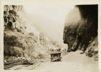 na028252--thumbnail.jpg