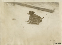 na012087--thumbnail.jpg