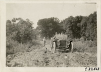 na025095--thumbnail.jpg