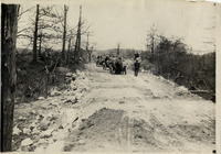 na030843--thumbnail.jpg