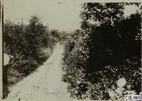 na021053--thumbnail.jpg