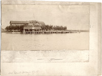 DPA0666--thumbnail.jpg
