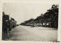 na012544--thumbnail.jpg