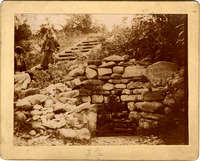 DPA0062--thumbnail.jpg
