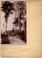 DPA0066--thumbnail.jpg
