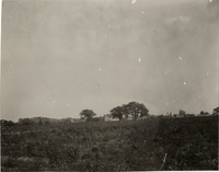 na003384--thumbnail.jpg
