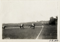 na017954--thumbnail.jpg