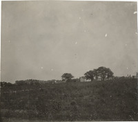 na003385--thumbnail.jpg