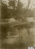 na029277--thumbnail.jpg