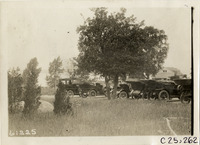 na027240--thumbnail.jpg