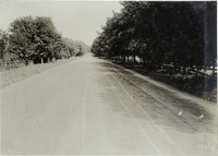 na016925--thumbnail.jpg