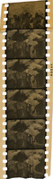 na031923--thumbnail.jpg