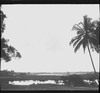 na031934--thumbnail.jpg