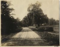 na010581--thumbnail.jpg