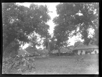 na031936--thumbnail.jpg